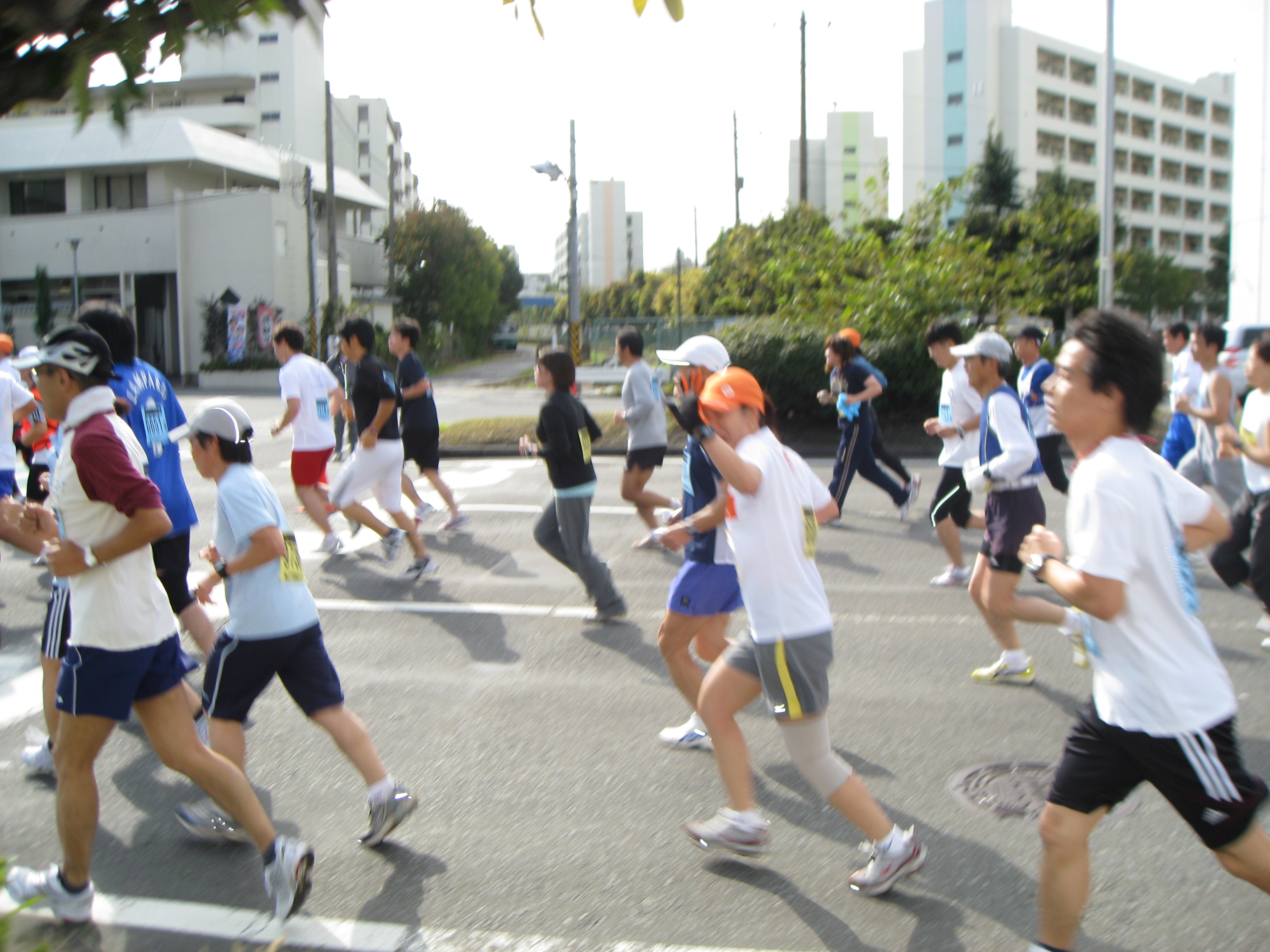 20071111 004.jpg